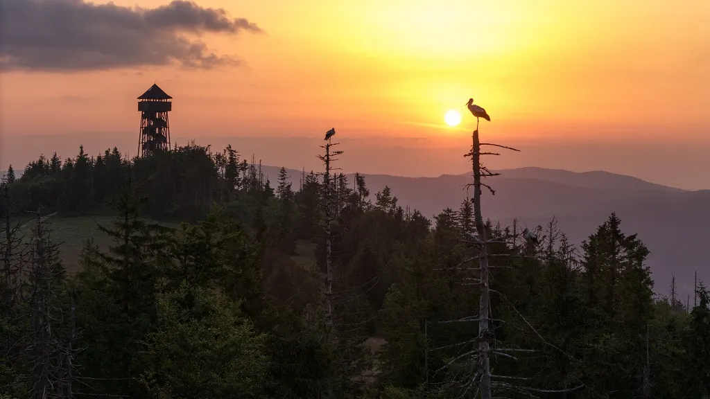 Góra Lubań – wieża widokowa, panorama Tatr i Pienin